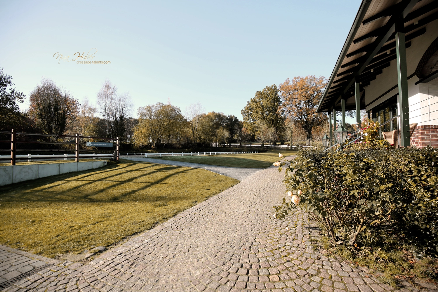 Dressurtalente – Fotografie – Reitanlagen