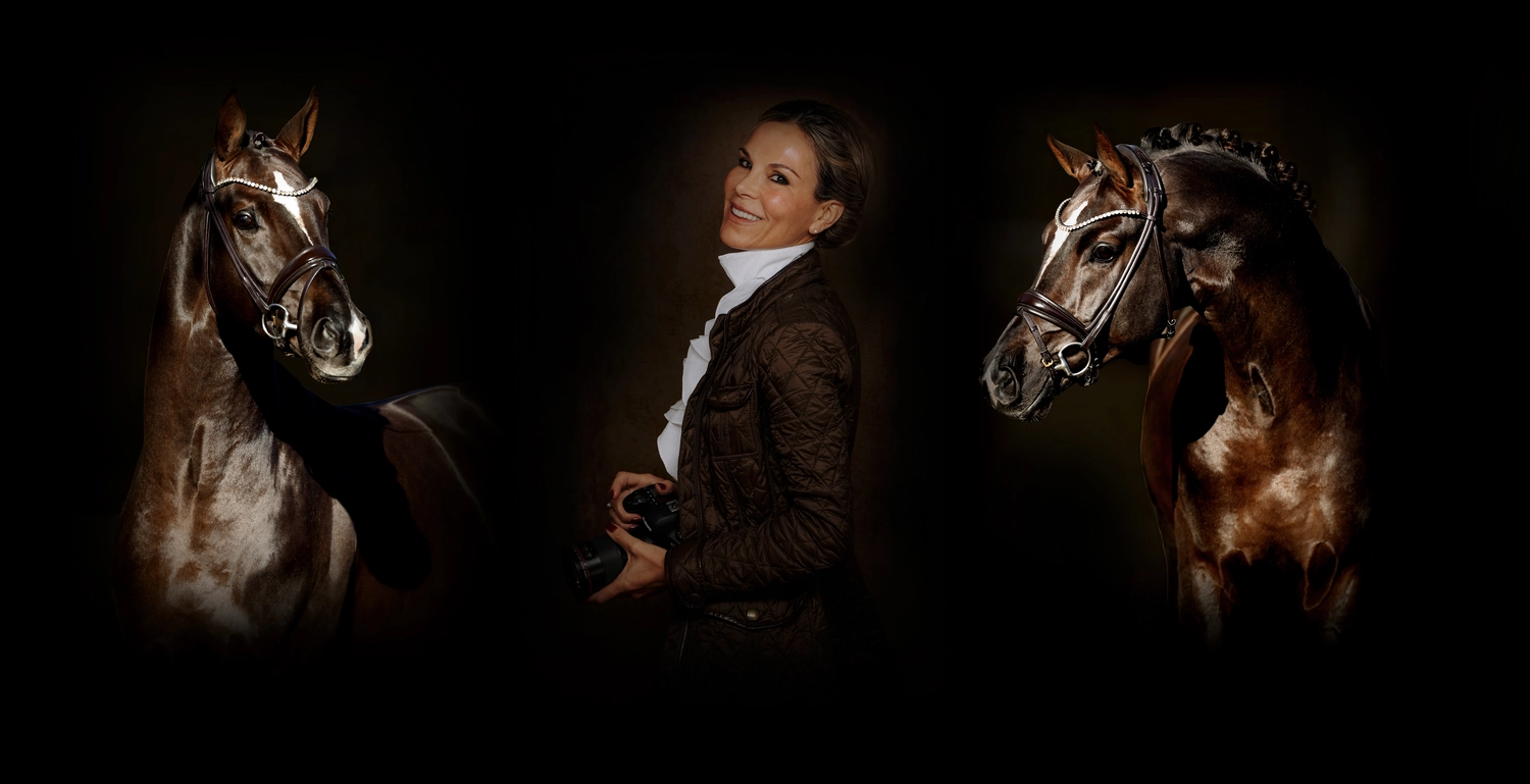 Dressurtalente - Fotografie - Pferde