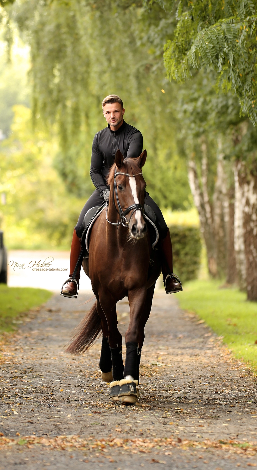 Dressage Talents - photography - horses