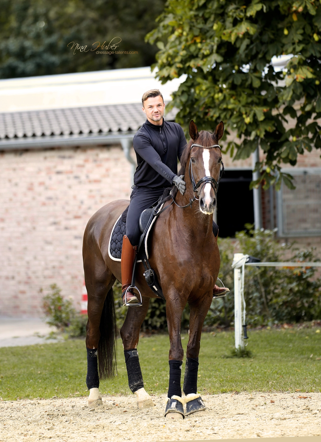 Dressage Talents - photography - horses