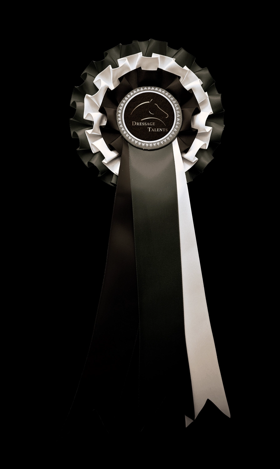 Dressage Talents - photography